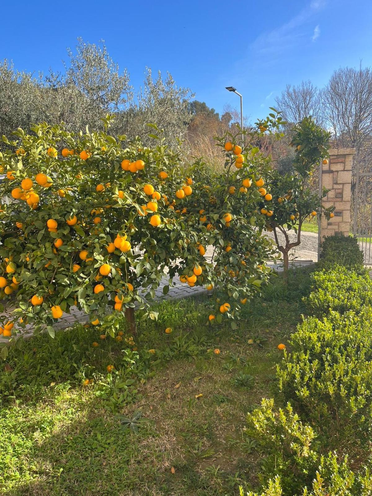 Villa Dei Limoni Shkallnur Luaran gambar