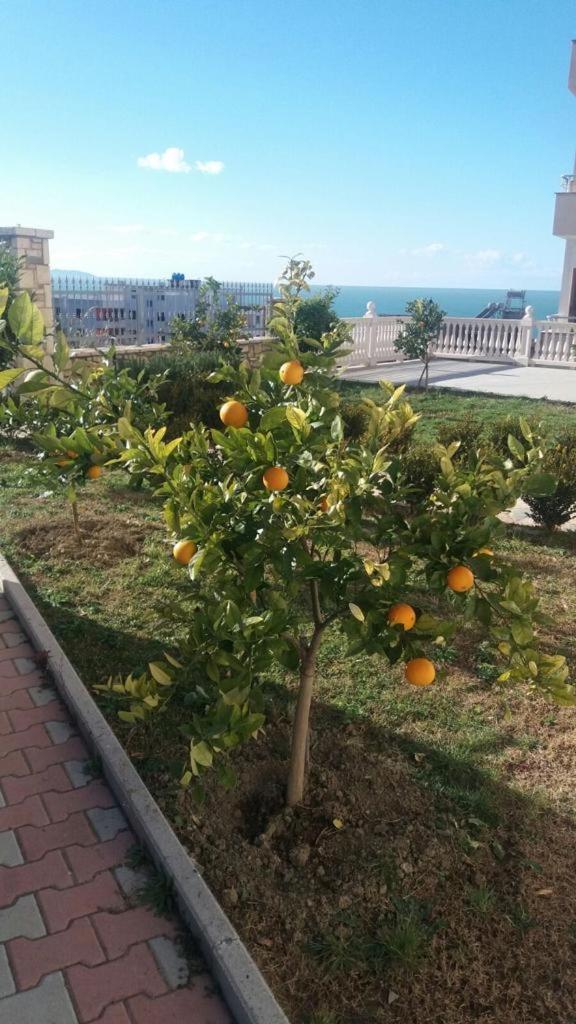 Villa Dei Limoni Shkallnur Luaran gambar
