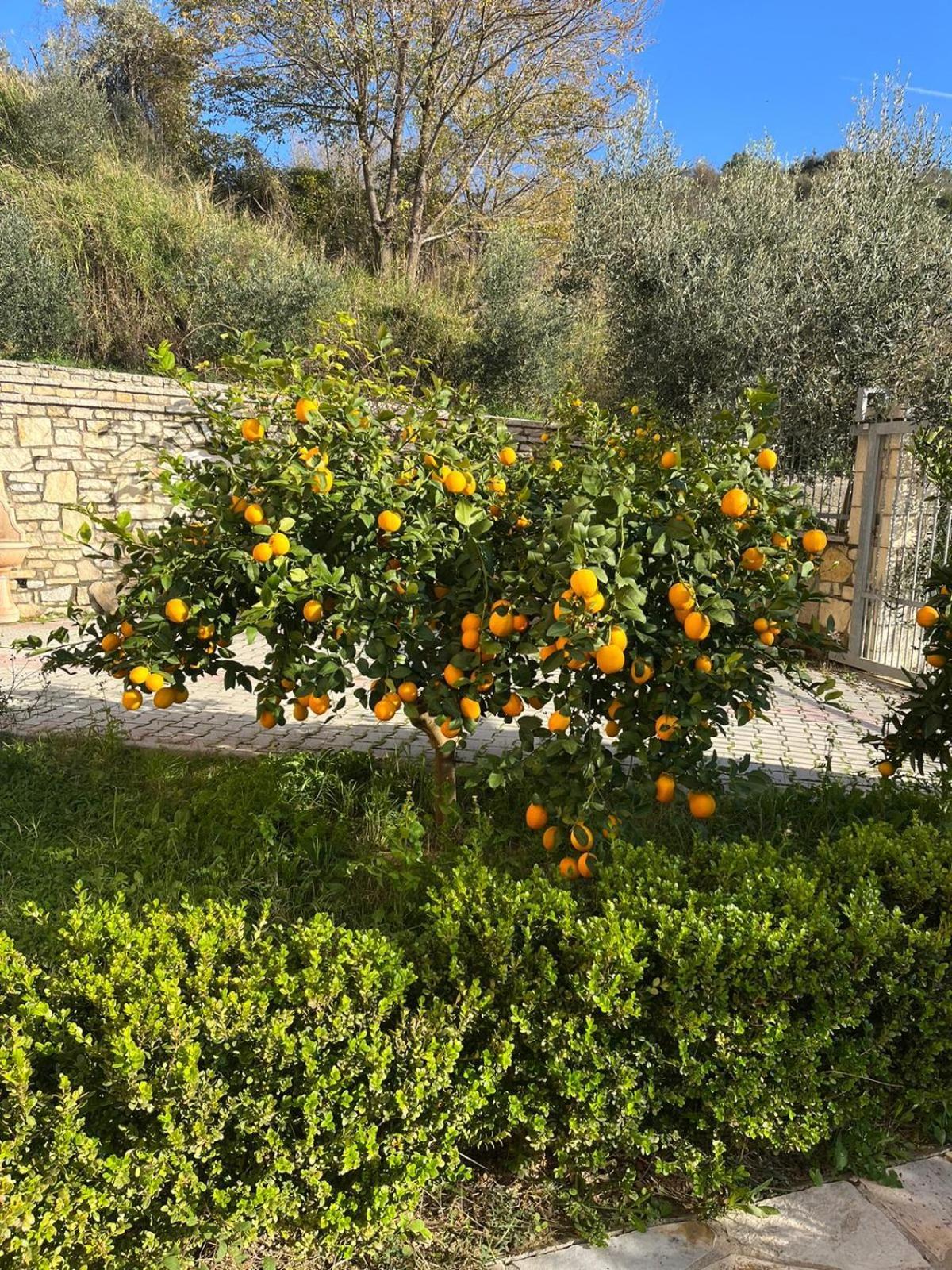 Villa Dei Limoni Shkallnur Luaran gambar
